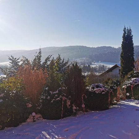 Chalet Bambi Blaibach Екстер'єр фото