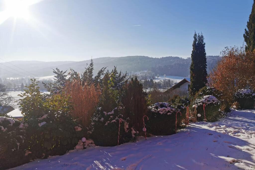 Chalet Bambi Blaibach Екстер'єр фото
